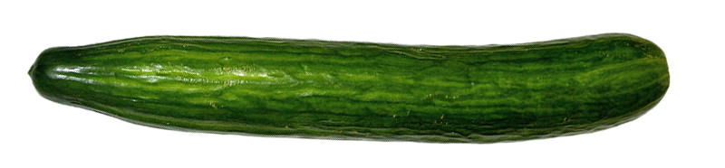 cucumber, cucumber png, cucumber png image, cucumber transparent png image, cucumber png full hd images download